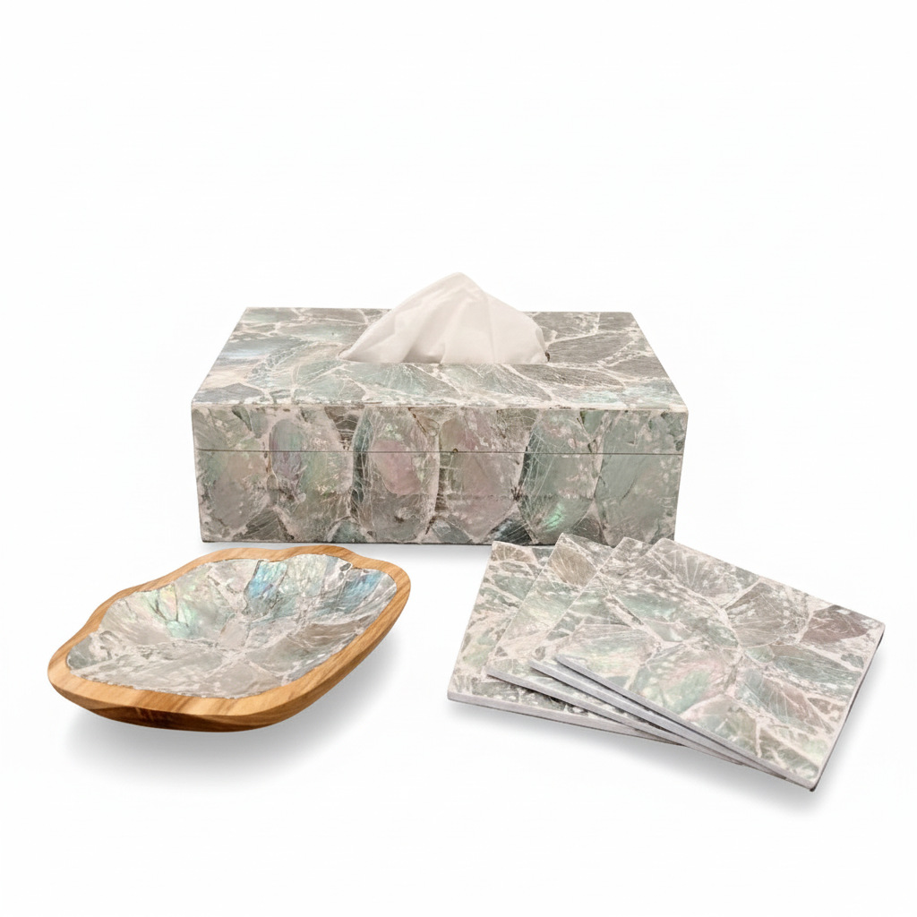 Schelpen tissue box abalone licht