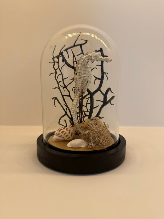 Deco stolp met zeepaardje