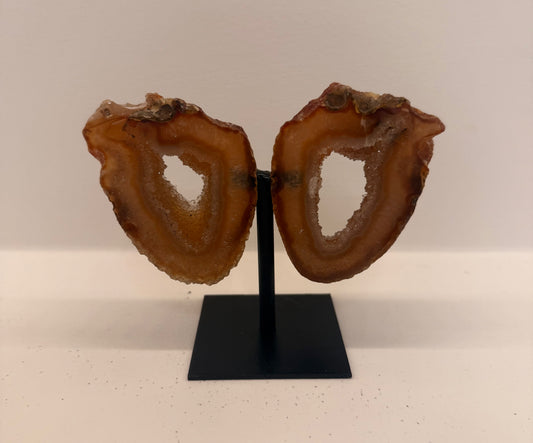 Agaat vlinder op standaard