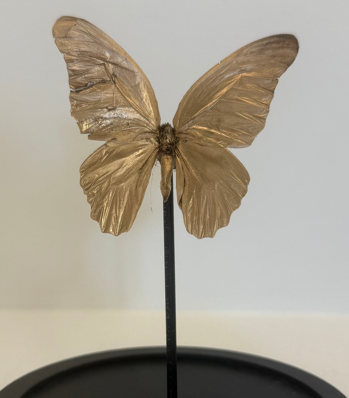 Gouden vlinder in glazen stolp
