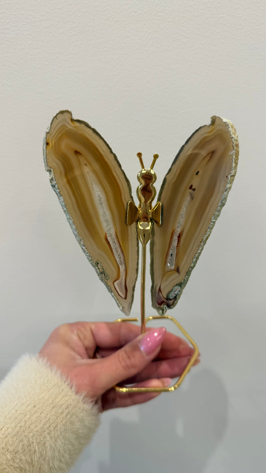 Agaat vlinder met gouden standaard