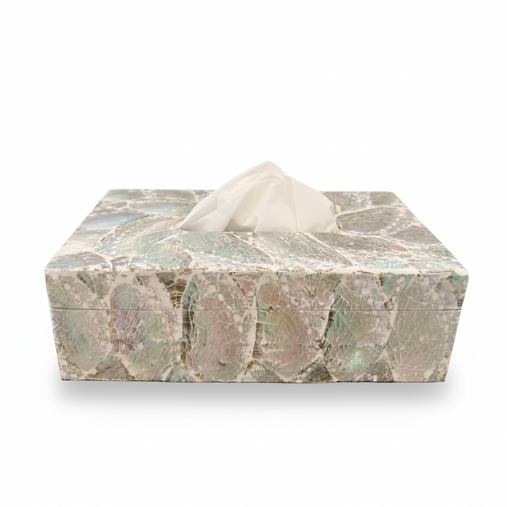 Schelpen tissue box abalone licht