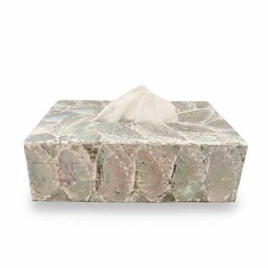 Schelpen tissue box abalone licht