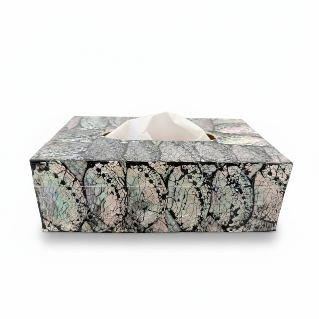 Tissue box abalone