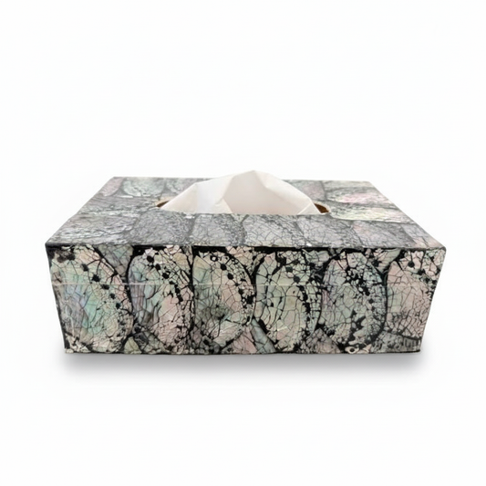Tissue box abalone