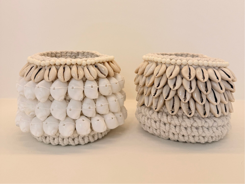 Schelpen planten mandje