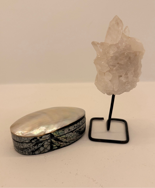 Ringdoosje abalone schelp