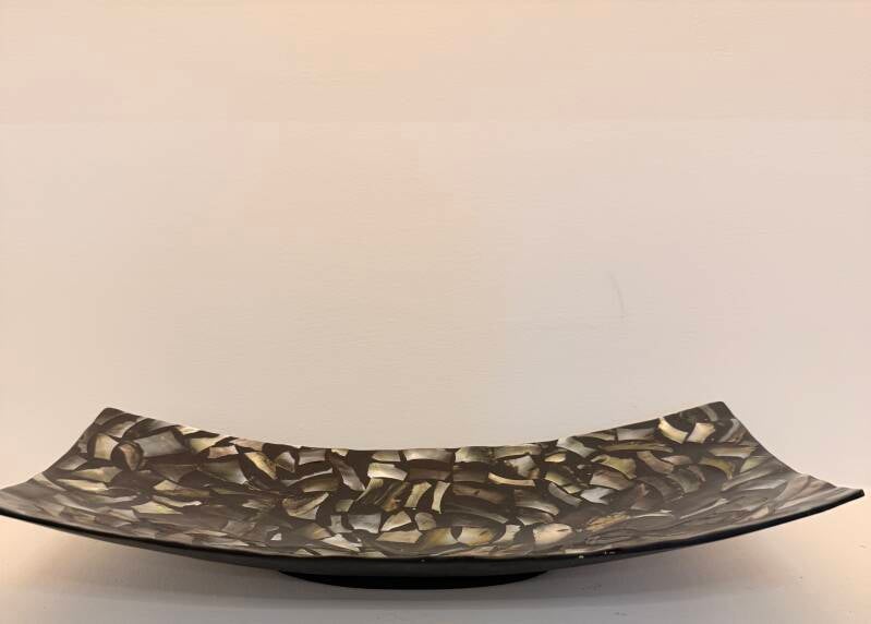 Diepe schaal schelp donker