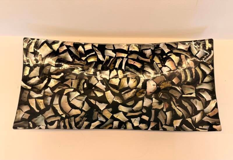 Diepe schaal schelp donker