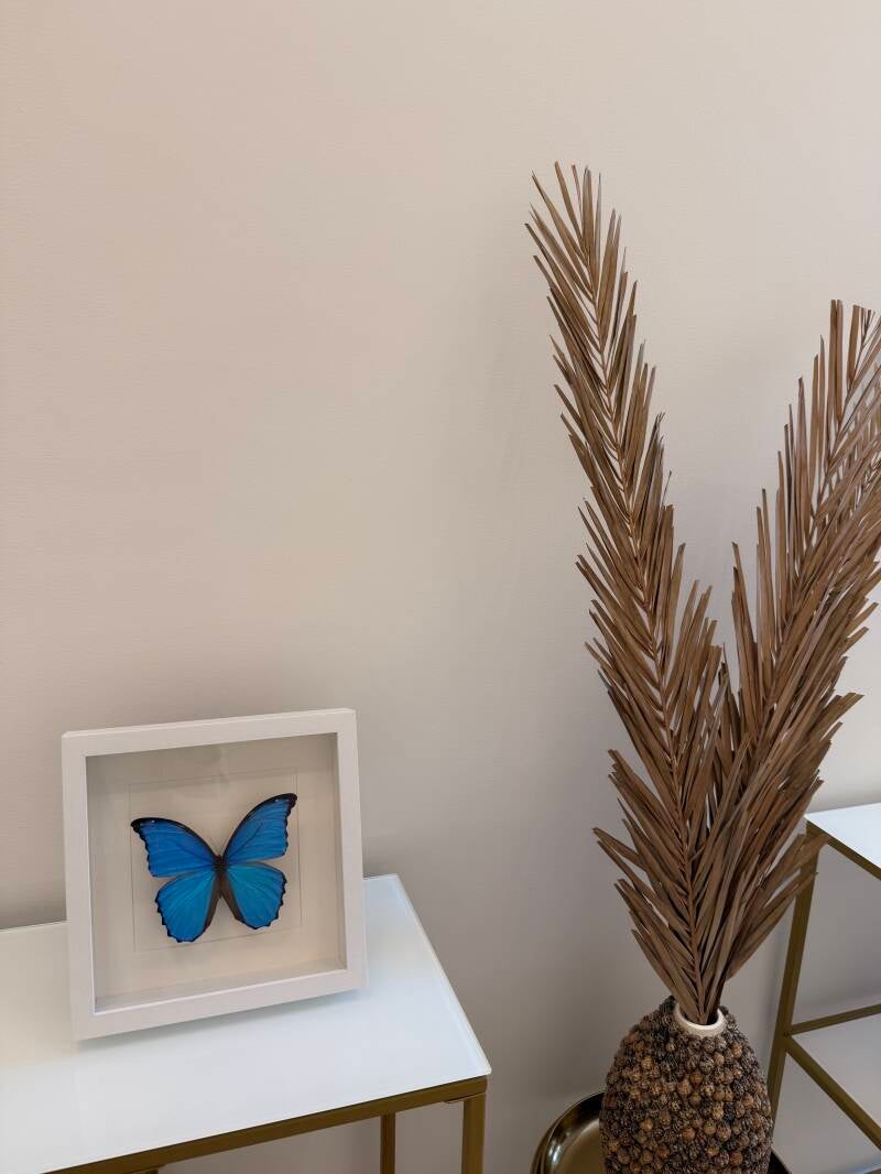 Blauwe Morpho vlinder in witte lijst