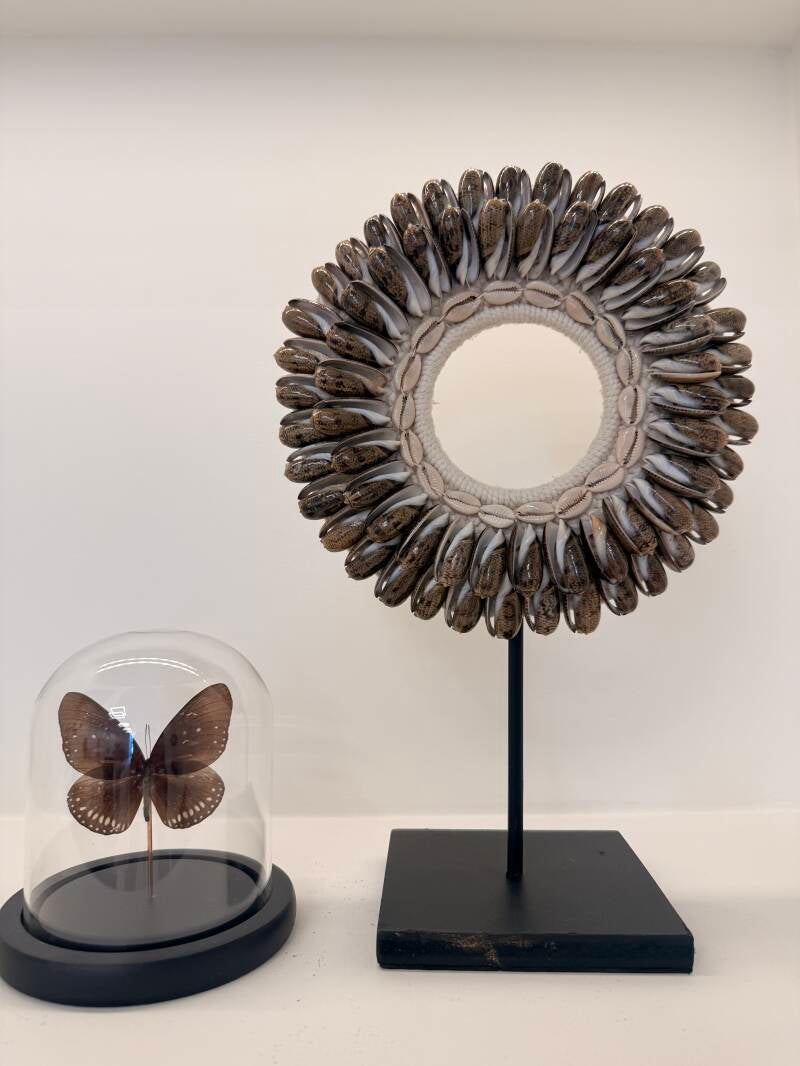 Bruine schelpen op standaard